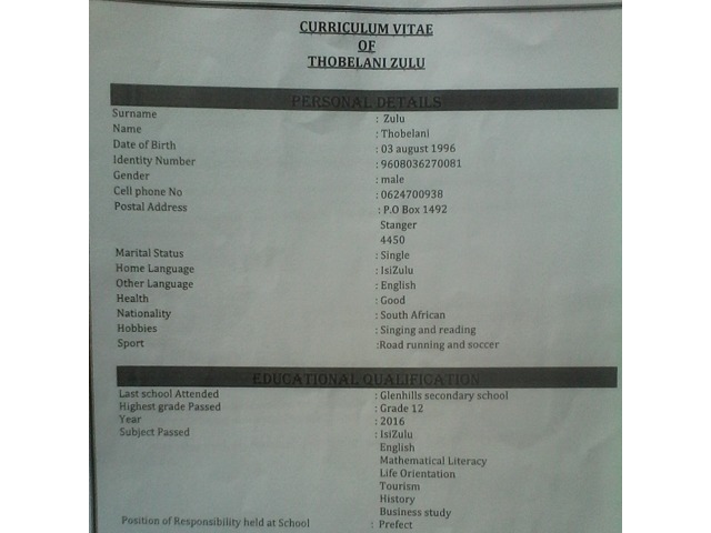 zambia curriculum vitae sample In Vitae Zulu Curriculum