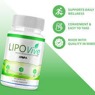 Lipovive Supplement