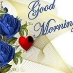 Samy Skilled Fitter Ngcobo