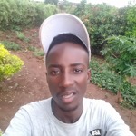 Ndivhuwo Jeffrey Matamela