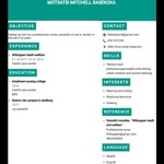 Motsatsi Mitchell Rasekoka