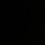 Thabang Silvester Mosetlo