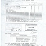 Banele Promise Nhlabathi