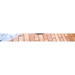 Segametsi Lydiah Lobeko