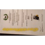 Lehlohonolo Matabane