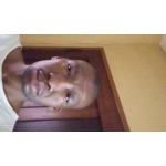 Pule Theophilus Thulo