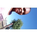 Zanele Siphiwe Zikali