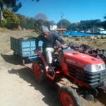 Johannes Tebogo Mathibela