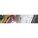 Tiroyaone Ernest Monnaesi