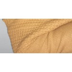 Thabang Desire Nyambi