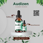 Audizen Official We