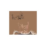 Vita Feet Relieve Reviews