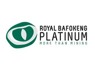 We Are Looking people to work for permanent BAFOKENG RASIMONE PLATINUM MINE
