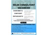 Sales Consultant Careers