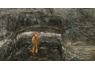 Canyon coal <em>mine</em> looking qualified and experience candidates driver s and operators
