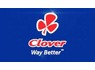 General workers at clover