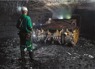 GENERAL WORKERS AND BOILERMAKER. NEEDED AT PALESA COAL MINE. CALL MR NKABINDE ON 0648142100