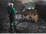 <em>GENERAL</em> <em>WORKERS</em> AND BOILERMAKER. NEEDED AT PALESA COAL MINE. CALL MR NKABINDE ON 0648142100