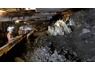 Murray Roberts Mine Job Available