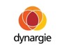 Dynargie is looking for Sales Executive