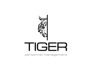 Finance Manager at Tiger Personnel Management