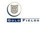 GOLD FIELDS is looking for Vice President Project