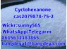 Selling high quality Cyclohexanone cas 2079878-75-2