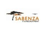 Change Management Specialist needed at Sabenza <em>IT</em>