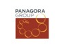 Senior Data <em>Analyst</em> at Panagora Group