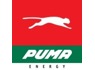 Deputy Manager Finance at Puma Energy