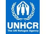 Program Associate at UNHCR the UN Refugee Agency
