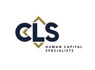 Account <em>Executive</em> at CLS Human Capital Specialists
