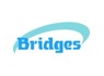<em>Electrical</em> Supervisor at Bridges Trusted Intelligent Engineering Partner