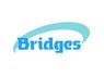 Electrical Supervisor at Bridges Trusted Intelligent Engineering Partner