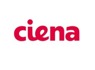Senior Sales Engineer at Ciena