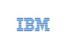 Seller at IBM