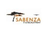 Finance Manager at Sabenza IT