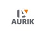 Facilitator needed at Aurik Business