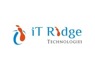Test Manager needed at IT Ridge Technologies