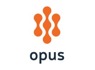 <em>Director</em> of Information Technology at Opus