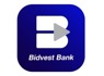 <em>Finance</em> Manager at Bidvest Bank Limited