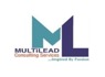 Security Executive at MultiLead Consulting Services