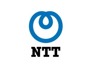 NTT Ltd is looking for Director Sap