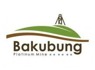 <em>Bakubung</em> Platinum Mine Now Opening New Shaft Inquiry Mr Mabuza (0720957137)