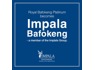 IMPALA BAFOKENG NEW VACANCIES