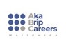 ABC Worldwide AKA BRIP Careers Worldwide is looking for Professional <em>Accountant</em>