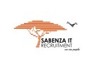 Information Technology Project <em>Manager</em> at Sabenza IT