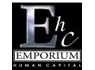 Financial Accountant needed at EMPORIUM HUMAN CAPITAL
