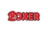 Group Financial <em>Accountant</em> needed at Boxer Superstores