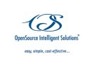 Business Intelligence <em>Developer</em> needed at OpenSource Intelligent Solutions
